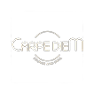 CARPE DIEM Lounge -logo